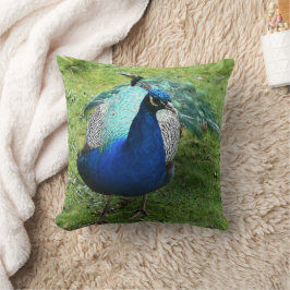 Almofada Poder do Pavão Real