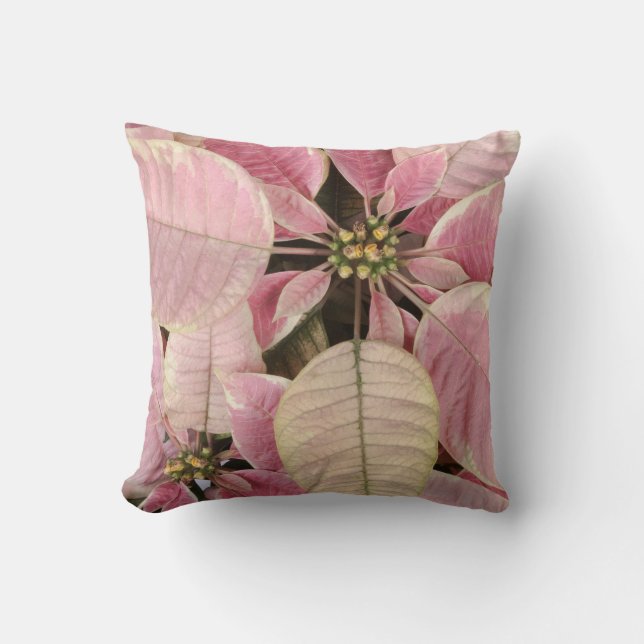 Almofada Poinsettia (Frente)