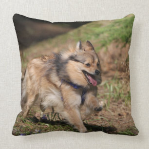 Almofada Pomeranian que funciona com chicote de fios sobre