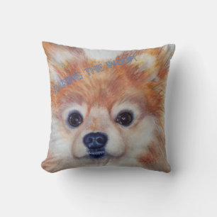 ALMOFADA POMERANIANO DE OURO CUTE