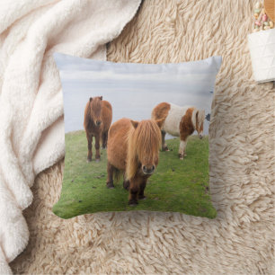 Almofada Pônei Shetland no Pasto Perto de Falésias Altas