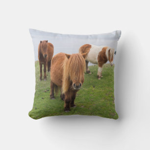 Almofada Pônei Shetland no Pasto Perto de Falésias Altos