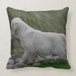 Almofada Posição do filhote de cachorro do golden retriev