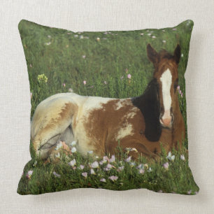 Almofada Potro do Appaloosa que estabelece nas flores