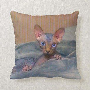 Almofada Pouco gatinho cinzento de Sphynx