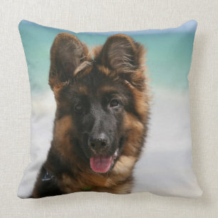 Almofada Praia de cabelos compridos do german shepherd