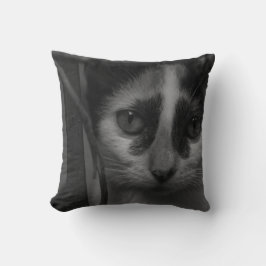 Almofada Preto e Branco - Gatinho 02