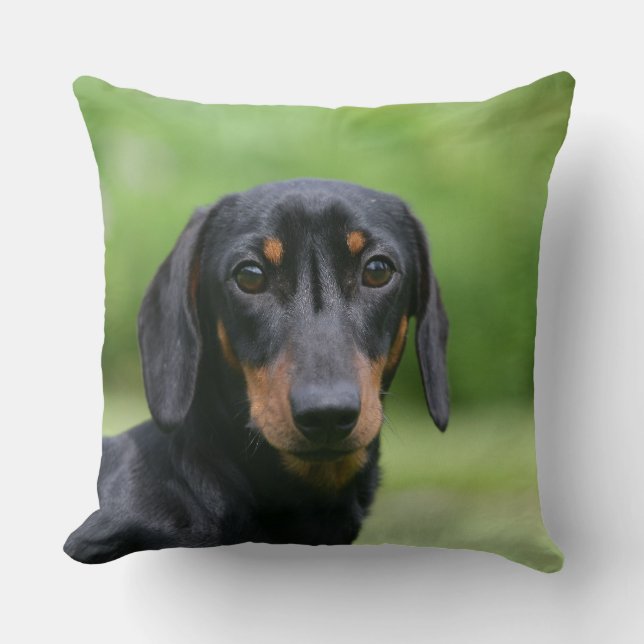 Almofada Preto e Dachshund 1 de Tan Miniture (Frente)