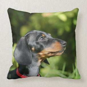 Almofada Preto e Dachshund 3 de Tan Miniture