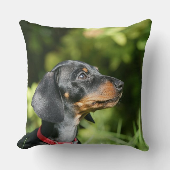 Almofada Preto e Dachshund 3 de Tan Miniture (Frente)
