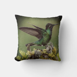 Almofada Primavera Hummingbird Para Amantes Da Natureza