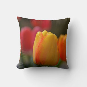 Almofada Primavera no travesseiro decorativo das cores