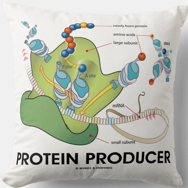 Almofada Produtor de proteínas mRNA tRNA Síntese de proteín (Molecular biology throw pillow for anyone who produces proteins - and that means you!)