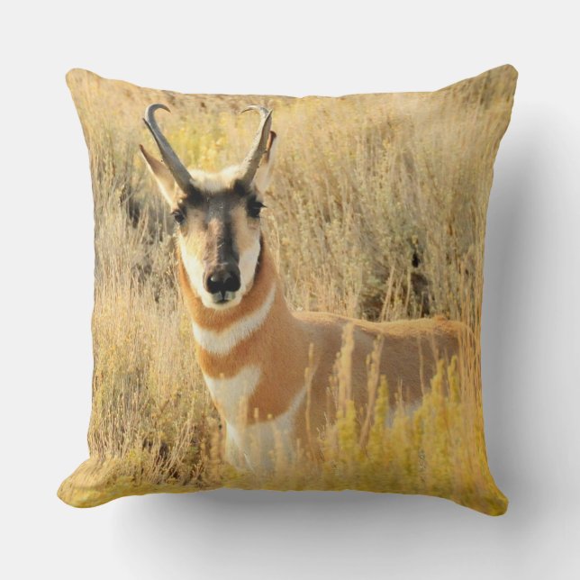 Almofada Pronghorn Buck (Frente)