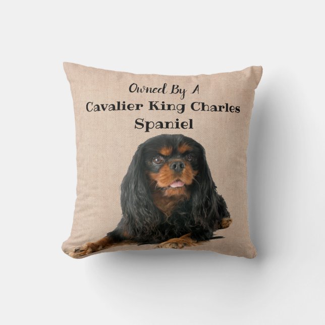 Almofada Propriedade de um Cavalier King Charles Spaniel Do (Frente)