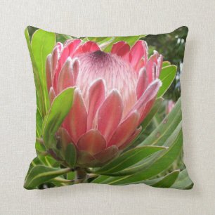 Almofada Protea vermelho