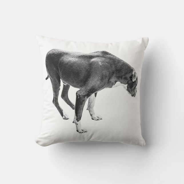 Almofada Protetor contra queda russa (Frente)