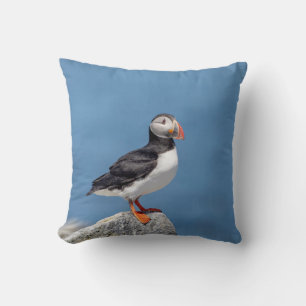 Almofada Puffin Atlântico em Machias, Maine