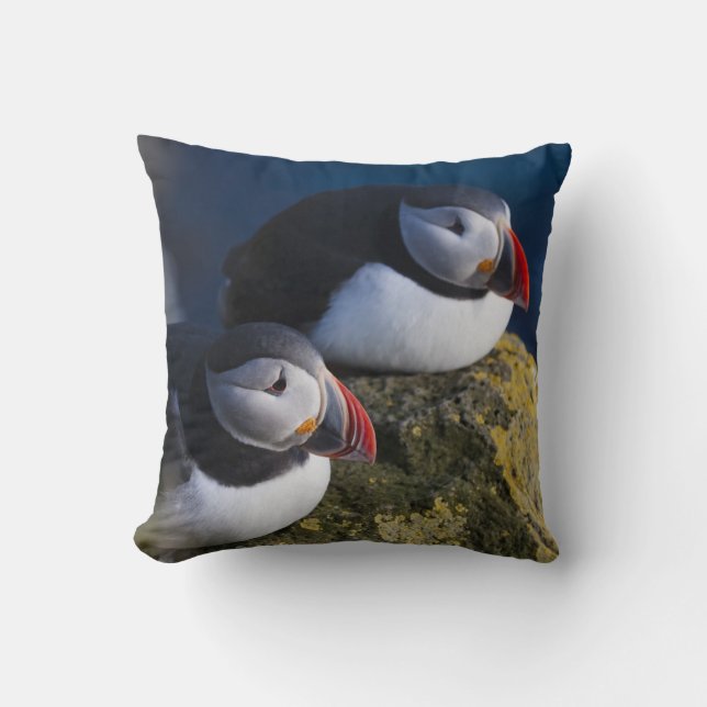 Almofada Puffin-do-Atlântico (Frente)