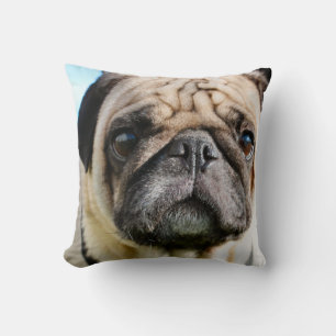 Almofada Pug