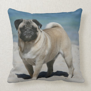 Almofada Pug da jovem corça na praia
