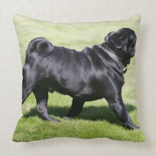 Almofada Pug preto que arfa ao andar