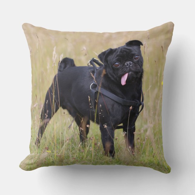 Almofada Pug preto que cola para fora Tounge (Frente)