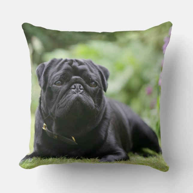 Almofada Pug preto que estabelece (Frente)