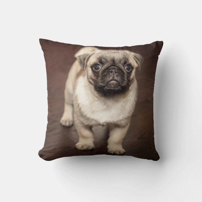 Almofada Pug Puppy no chão de madeira polida (Frente)