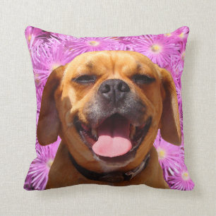 Almofada Puggle bonito