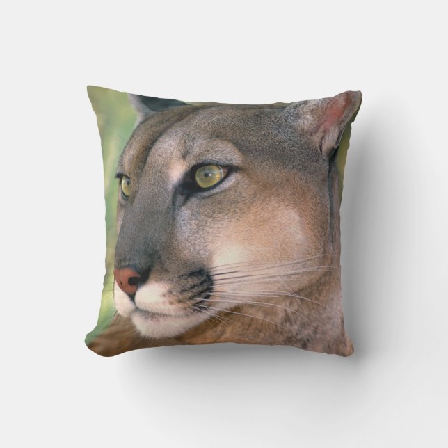Almofada Puma, Califórnia (Frente)