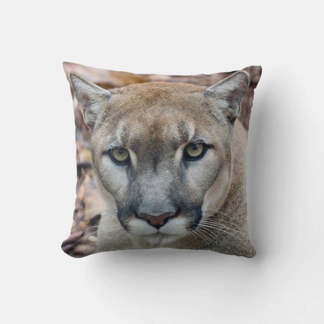 Almofada Puma, leão-da-montanha, pantera-da-flórida, Puma (Frente)