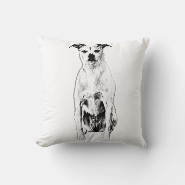 Almofada Pumpkin Lanterna Sentinel (Frente)