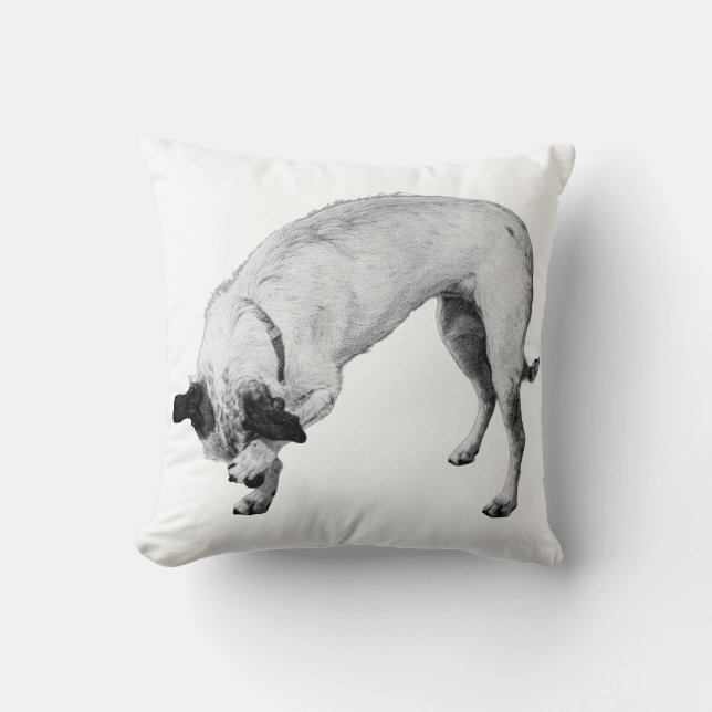Almofada Pup Bashful, Canto Cozy (Frente)