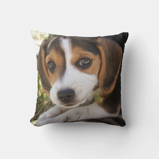Almofada Puppy Dog Beagle (Frente)