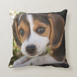 Almofada Puppy Dog Beagle