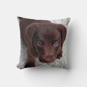 Almofada Puppy Love