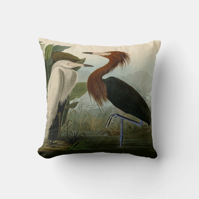 Almofada Púrpura Heron Audubon Bird Willife Painting (Frente)