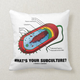 Almofada Que é sua subcultura? (Bactéria do Prokaryote)