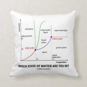 Almofada Que estado de matéria está você? (Química)