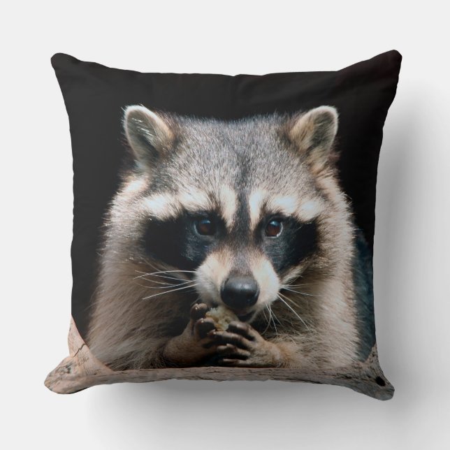 Almofada Raccoon 004 (Frente)