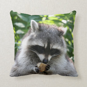 Almofada Raccoon 004