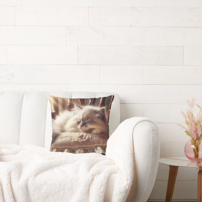 Almofada Ragdoll Kitten Dormindo em um Travesseiro (Sofá)