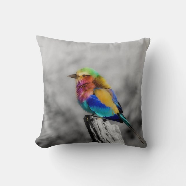 Almofada Rainbow Bird (Frente)