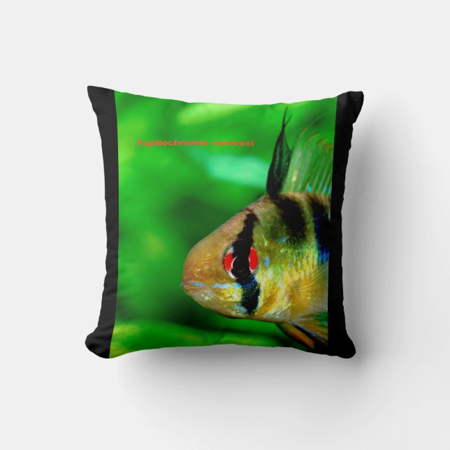 Almofada Ram Cichlid , Papiliochromis ramirezi (Frente)