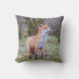 Almofada Raposa Vermelha Reversível