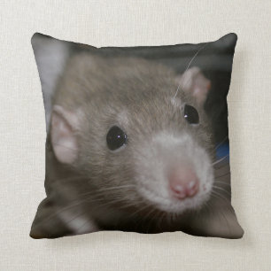 Almofada Rato curioso