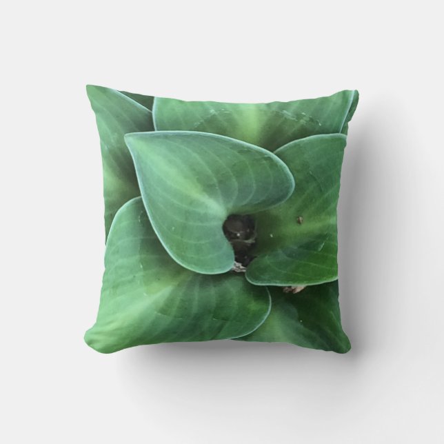 Almofada Rato Hosta Cushion (Frente)