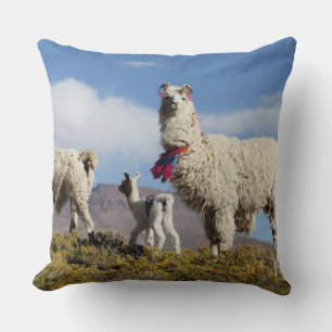 Almofada Rebanho de lamas decorados na Puna, cordilheira do
