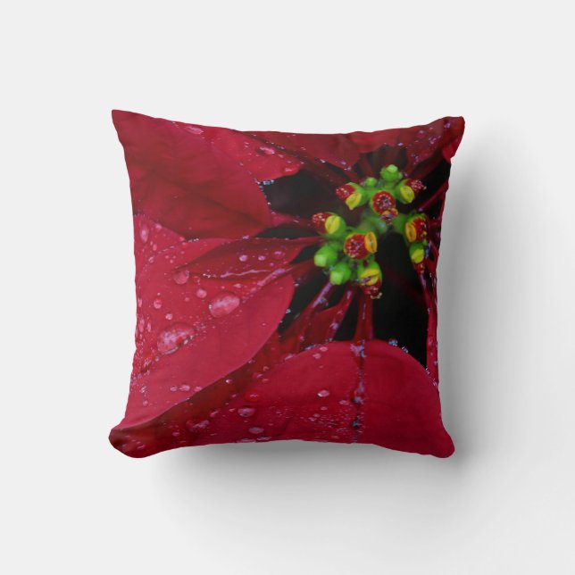 Almofada Red Christmas Poinsettia (Frente)